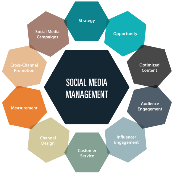 Social Pulse: Expert Social Media Management Services